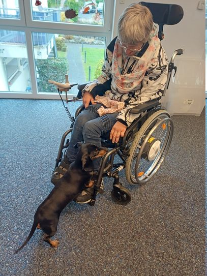 Besucherin der Tagesförderstätte der Lebenshilfe Mayen mit Dackeldame Hildegard.