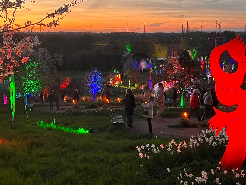 Impressionen der "Leuchtenden Gärten 2026"