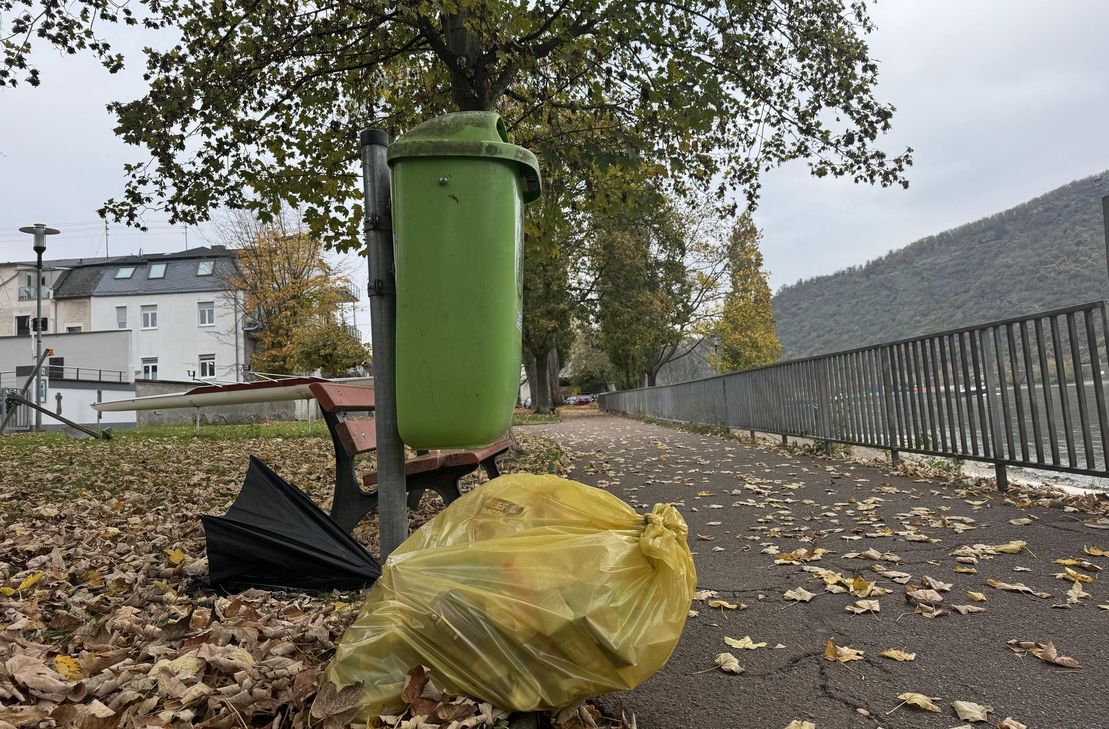 Wild entsorgter Müll, wie hier in der Bopparder Rheinallee, ist kein Kavaliersdelikt, sondern kann ein empfindliches Bußgeld nach sich ziehen.
