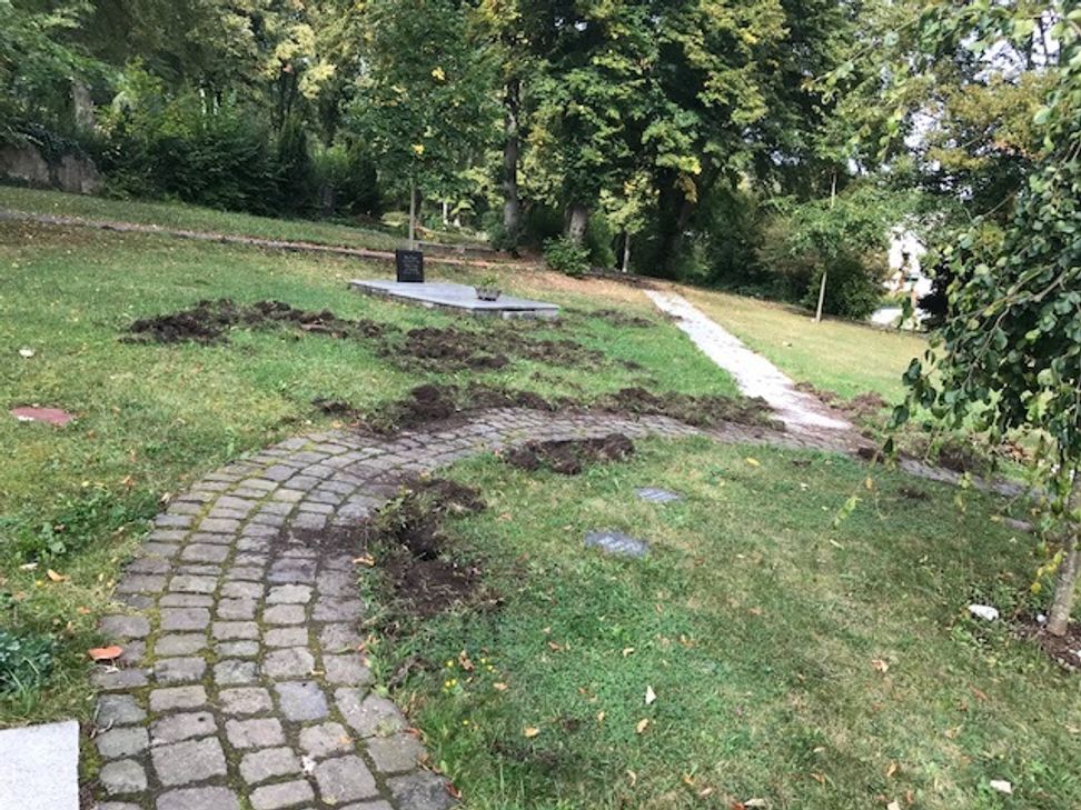 Die Wildschweine haben unter anderem einen der Ruheparkbereiche des Alten Friedhofs zerwühlt.