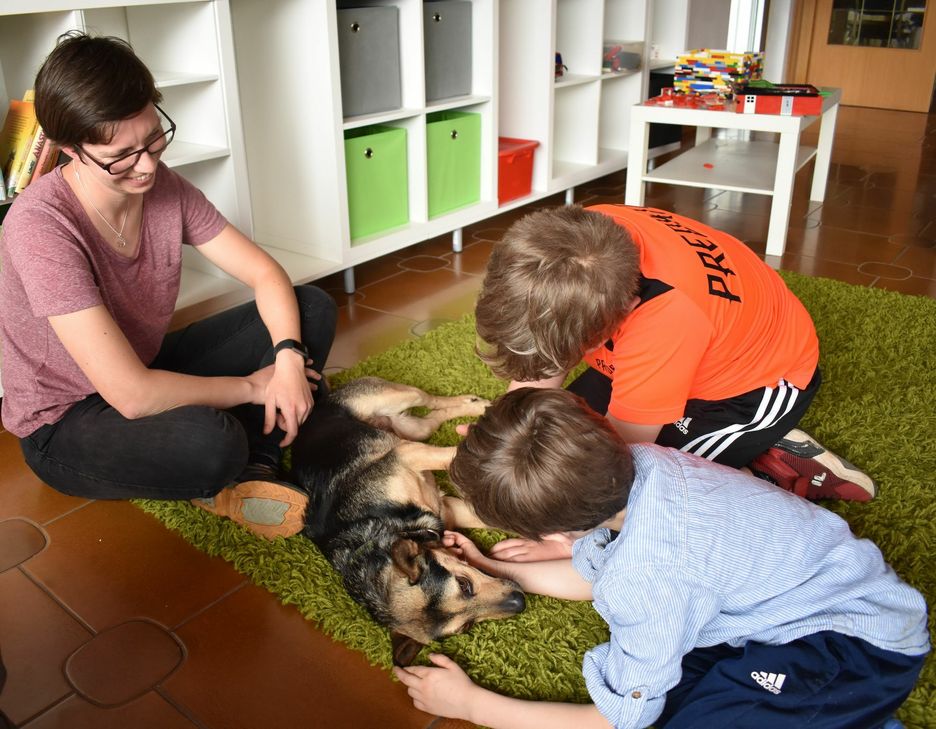 Streicheln, kuscheln, knuddeln, Gassi gehen: Mischlingsrüde Michel ist zwar kein ausgebildeter Therapiehund...