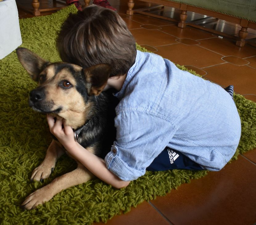 ... aber der Seele der 6- bis 14-jährigen Jungen und Mädchen, die in der Kinder-Wohngruppe der Johanniter in Trier-Tarforst leben, tut er offensichtlich sehr gut. Fotos: Johanniter/Regina Lüders