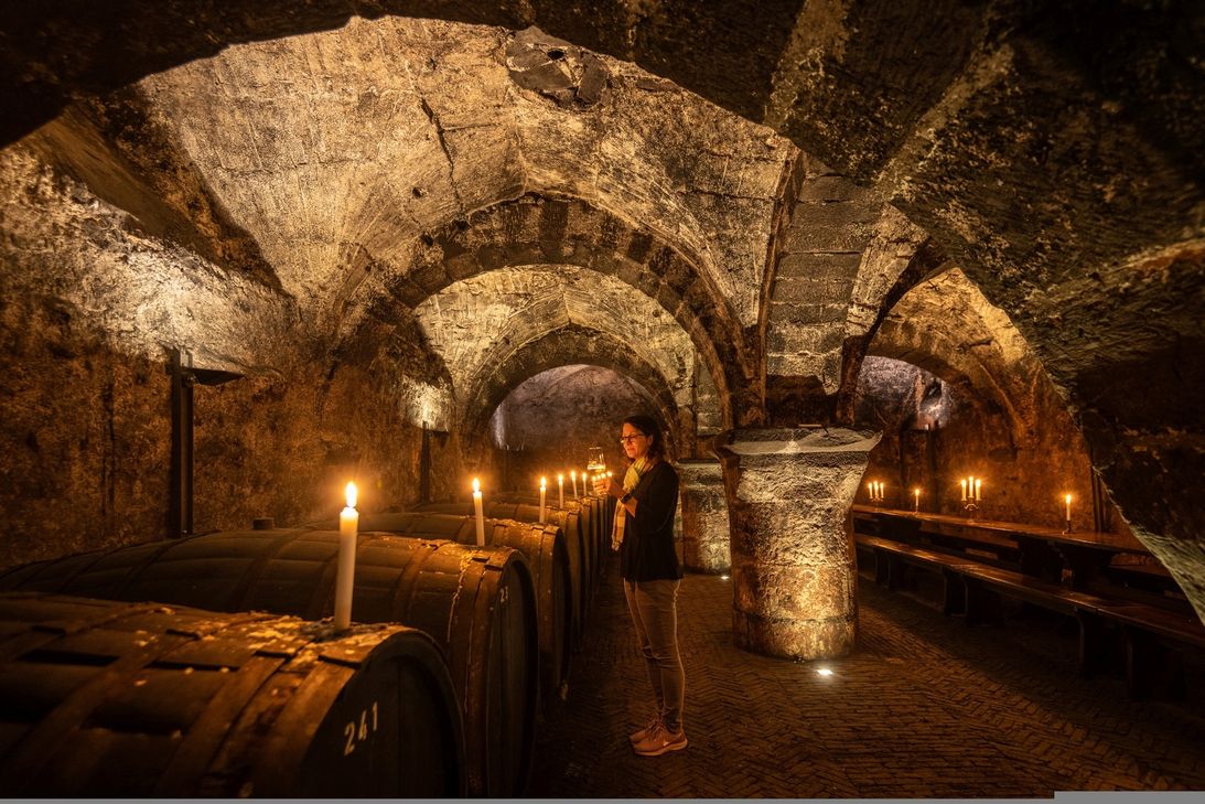 Szenische Weinführung "DiVine" mit Wein- und Kulturbotschafterin Carmen Müller. Sie erzählt im ältesten Weinkeller Deutschlands, in den Vereinigten Hospitien, als Geist der edlen Weinrebe aus über 2000 Jahre Weingeschichte