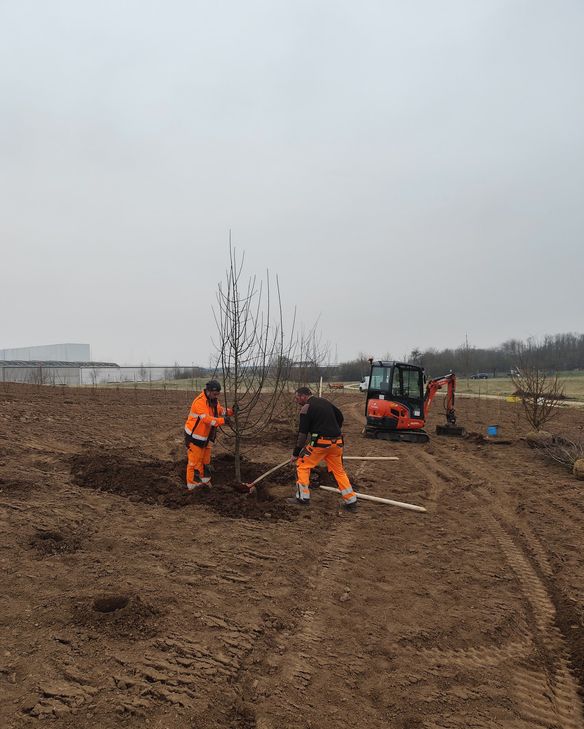 Auf der Ausgleichsfläche am IPAS sollen 600 neuen Bäume gepflanzt werden.