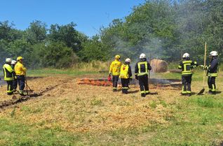 Rund 200 Einsatzkräfte aus fünf Landkreisen und der Stadt Trier trainierten bei Reichenbach im Landkreis Birkenfeld die Bekämpfung eines simulierten Wald- und Vegetationsbrandes.