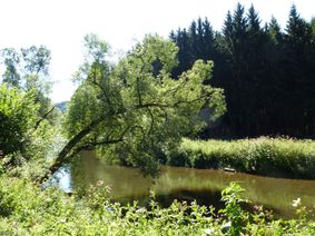 An der Kyll vor Malberg.