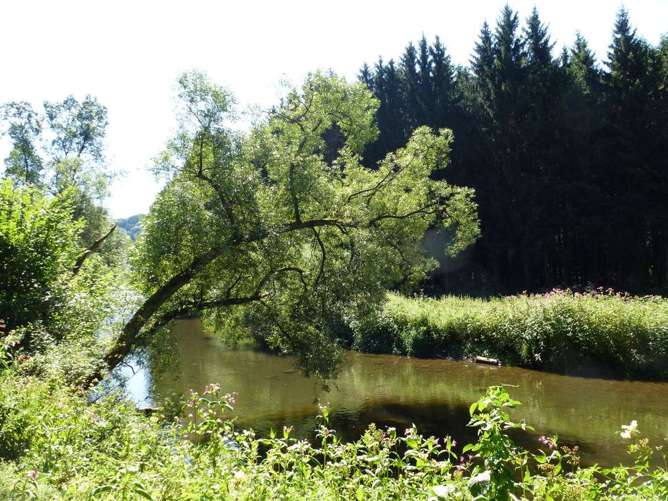 An der Kyll vor Malberg.