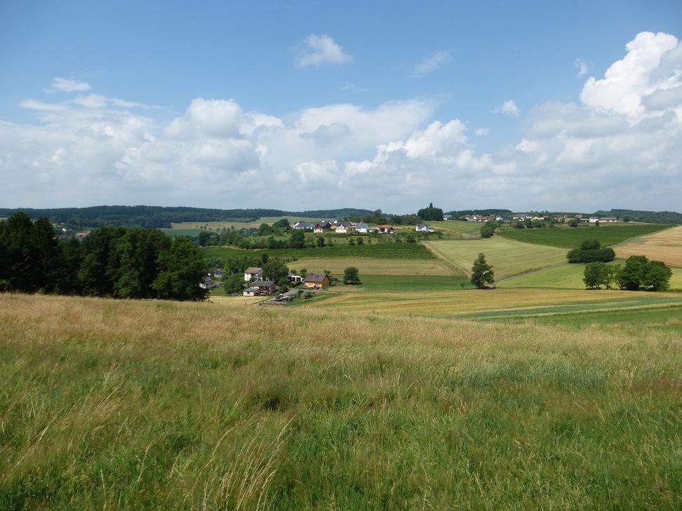 Traumlandschaft um Neidenbach.