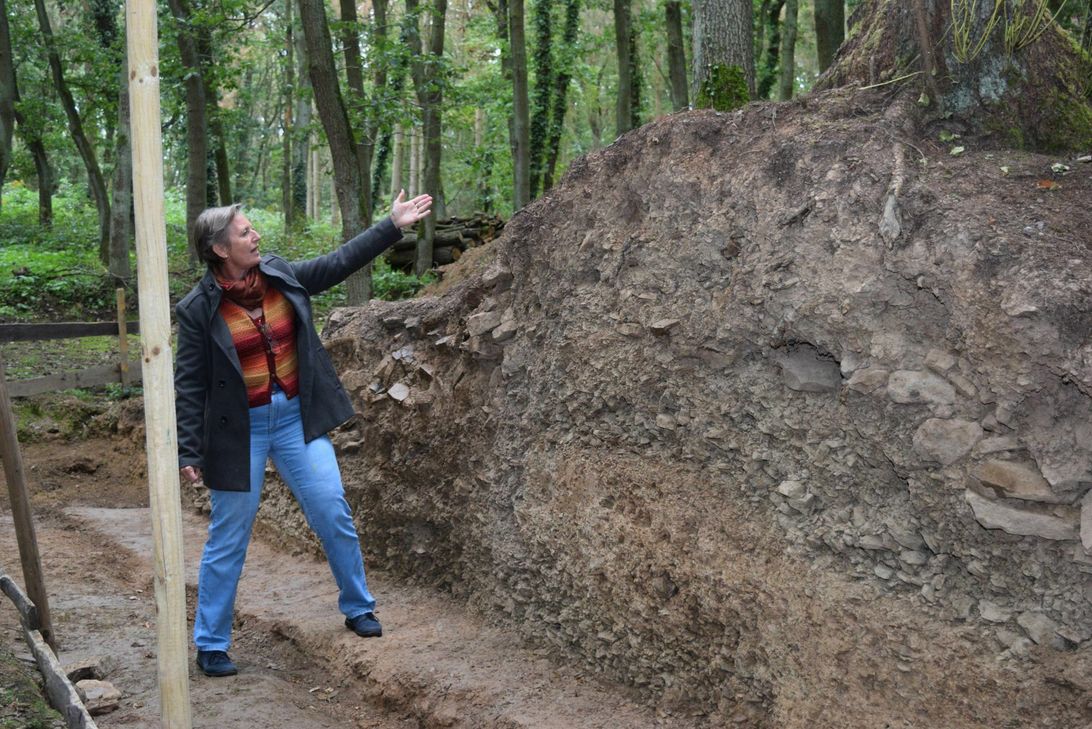 Bei einem Pressetermin erläutert Dr Michaela Aufleger (LVR) die Ausgrabung am Grabungsschnitt im Euskirchener Hardtwald. Foto: Scholl