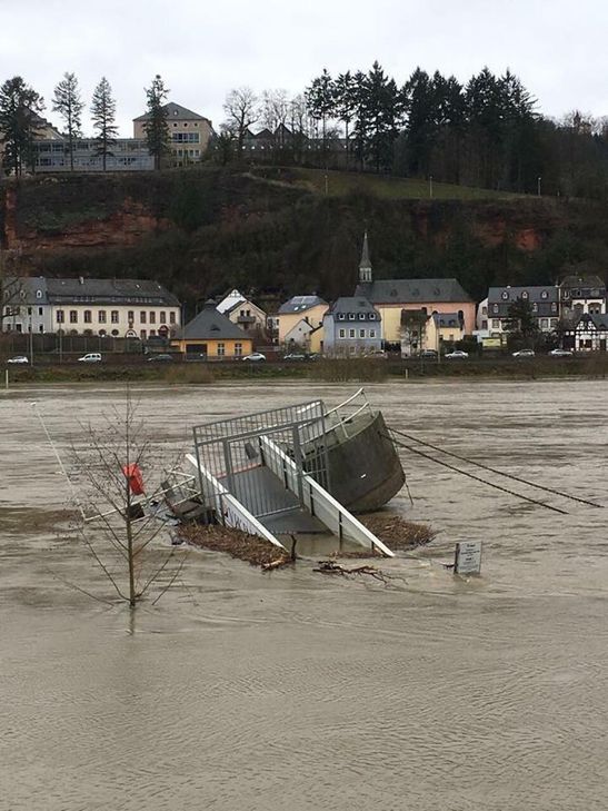 Hochwasser am Zurlaubener Moselufer. Foto: Neumann