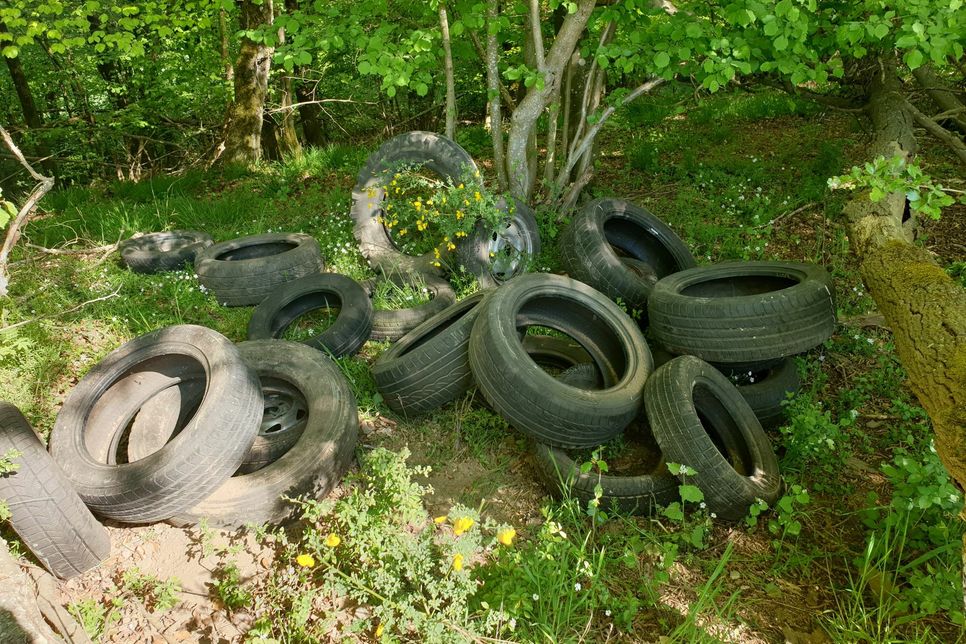 Beamte fanden diese Reifen bei Monreal. Foto: Polizei