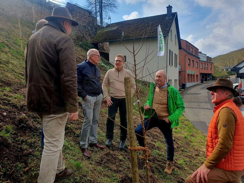 Die Vorstandsmitglieder des Lions Clubs sprachen anlässlich der Pflanzaktion der Mandelbäume mit Stadtbürgermeister Andreas Reymann.