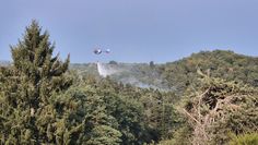 Großer Waldbrand im Kreis Birkenfeld