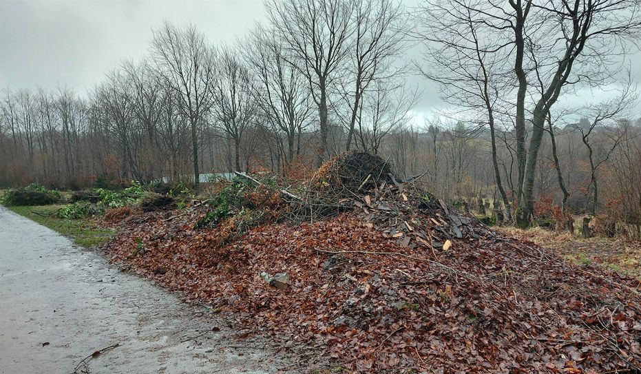 Riesige Haufen an Grün- und Heckenschnitt wurden am »alten Kirchweg« illegal entsorgt.