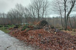 Riesige Haufen an Grün- und Heckenschnitt wurden am »alten Kirchweg« illegal entsorgt.