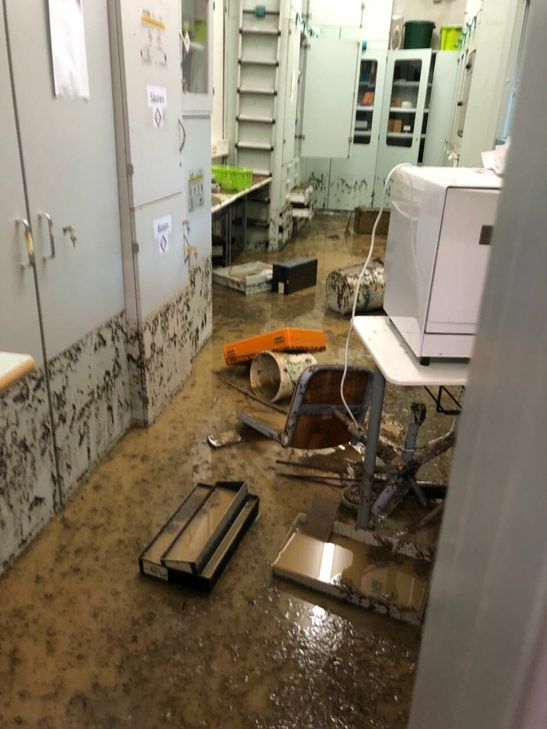 Die Direktorin der IGS schoss dieses Foto von der Verwüstung der Schule durch das Unwetter.