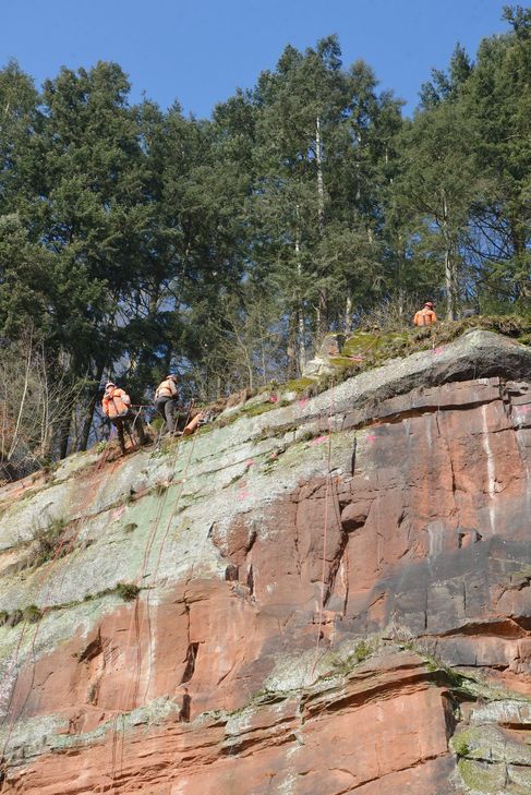 An Seilen gesicherte Bauarbeiter bohren Löcher in den Felsen in Pallien, um dann die Nägel für das Sicherungsnetz anzubringen. Foto: Presseamt