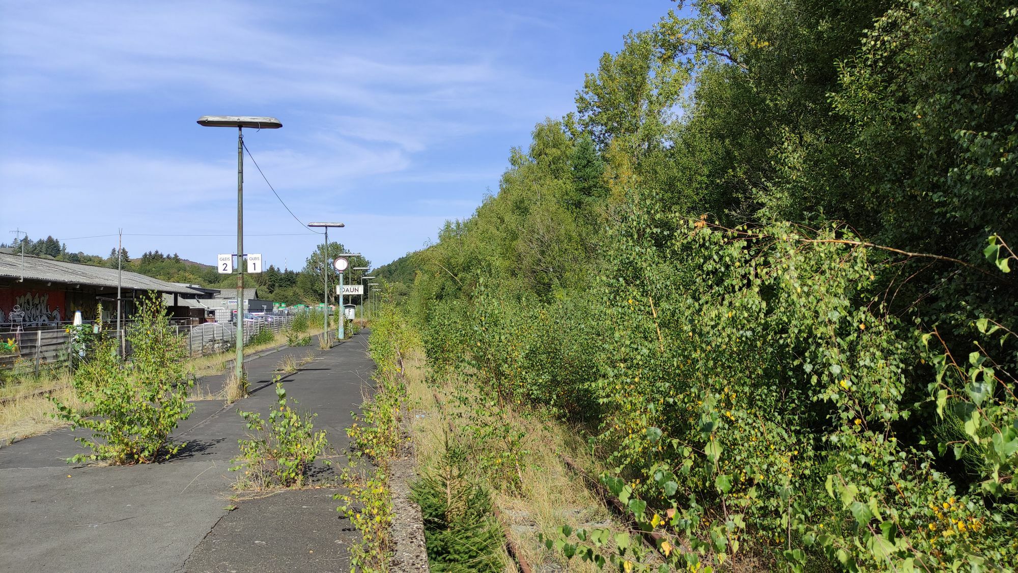 Um die Eifelquerbahn befahr zu machen, müssen die Schienen freigeschnitten werden. Foto: Eifelquerbahn e.V.