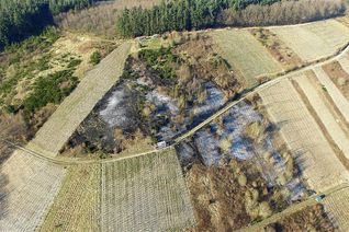 Flächenbrand in der Piesporter Weinbergslage "Im Jungenkarl".