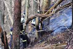 Rund 50 Feuerwehrleute kämpfen an schlecht zugänglicher Stelle gegen die Flammen im Unterholz. Foto: Christian Blumenthal/Feuerwehr Heimbach