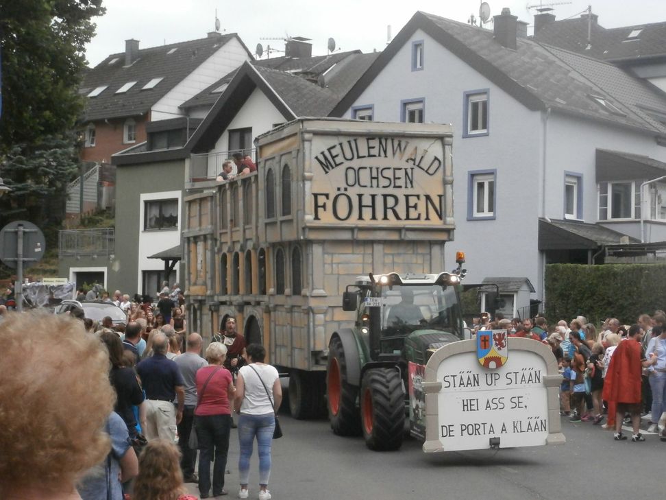 Fastnacht feiern und den Sommer genießen: 22 Prunkwagen und Fußgruppen bringen im Juni die Fastnacht zurück nach Föhren. Fotos: DIEDERICH