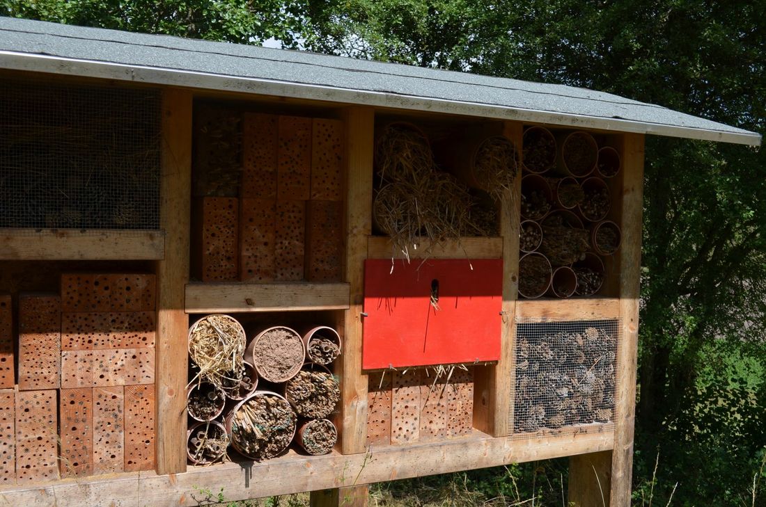 Das Insektenhotel gibt den Tieren ein Zuhause. Foto: JU