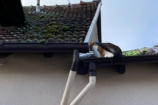 Foto: Feuerwehr VG Rüdesheim