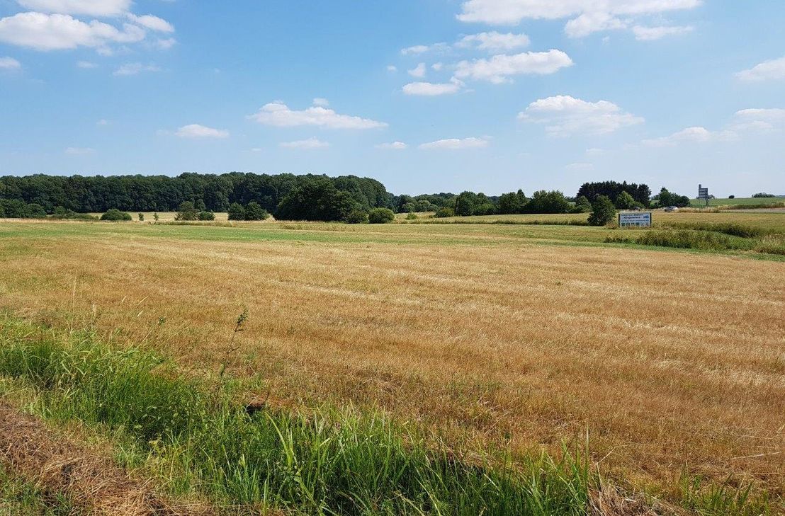 Trockene Felder: Landwirte sorgen sich über anhaltende Dürre
