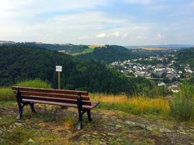 Aussicht auf Trimbs.