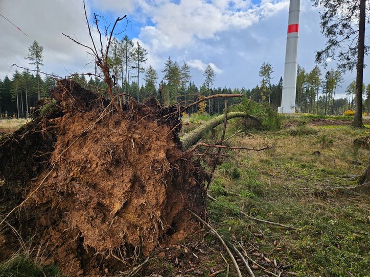 Laut Polizei kam es zu mehreren umgestürzten Bäumen.