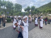 Zahlreiche Ehrengäste und Weinmajestäten kamen am Abend zur Eröffnung der Mosel-Wein-Woche in Cochem.