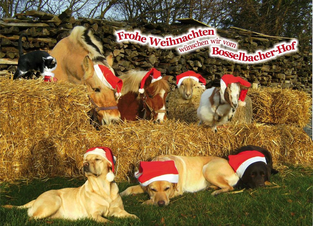 Weihnachten auf dem Bosselbacher Hof in Vossenack für Familien in Not.