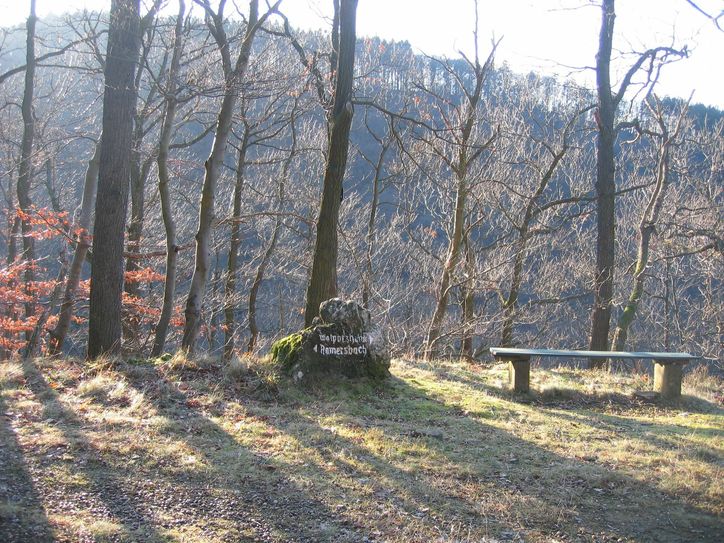 Bei unserem Wandertipp kann man die ersten Vorboten des Frühlings entdecken.