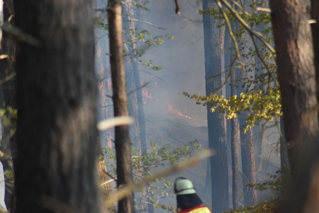 Das Feuer fraß sich auf einer Fläche von rund 50.000 Quadratmetern durch den Wald. Foto: Christian Blumenthal/Feuerwehr Heimbach