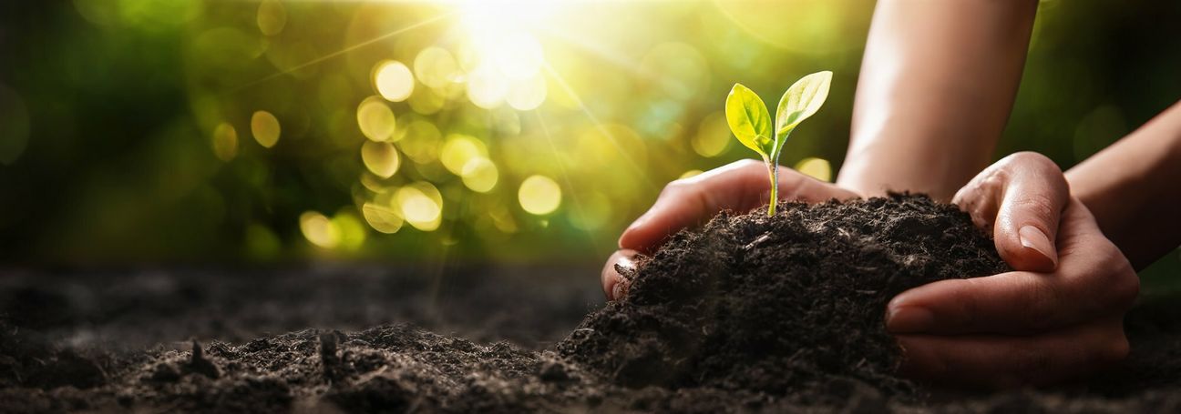 Raiffeisenbank spendet 2000 Euro zur Rettung der Fichten