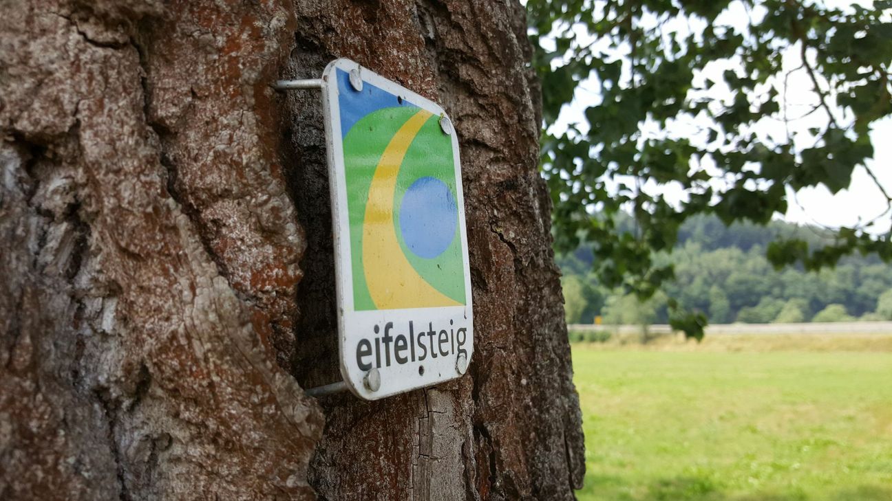 Dieses Zeichen weist den Weg - 313 Kilometer mitten durch die Eifel. mn-Foto
