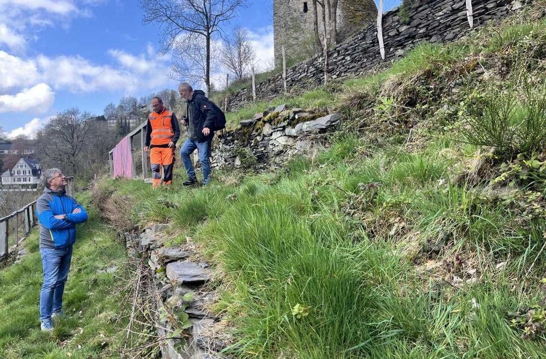 Beim Trockenmauerseminar der ISG Monschau wird am Rahmenberg eine alte Mauer abgetragen und fachgerecht neu aufgebaut – praktisches Arbeiten inklusive.