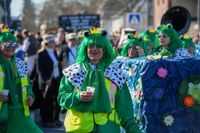 Impressionen vom Rosenmontagszug in Zülpich