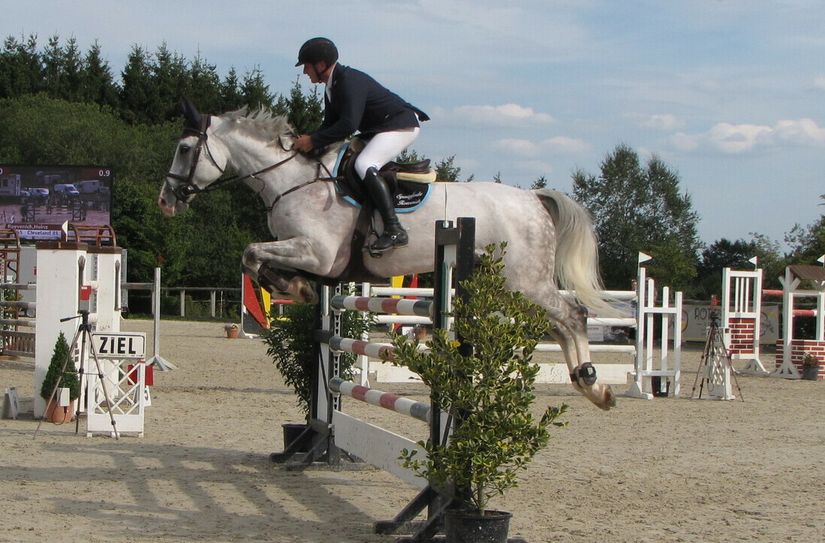 Die Pferdesportfreunde erwartet in Mützenich ein vielseitiges und spannendes Programm.