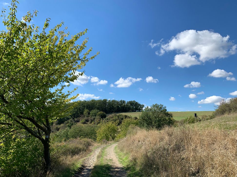 Arkadische Landschaft.
