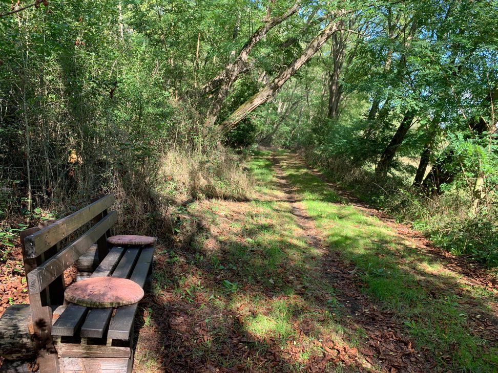 Einladende Ruhebank.