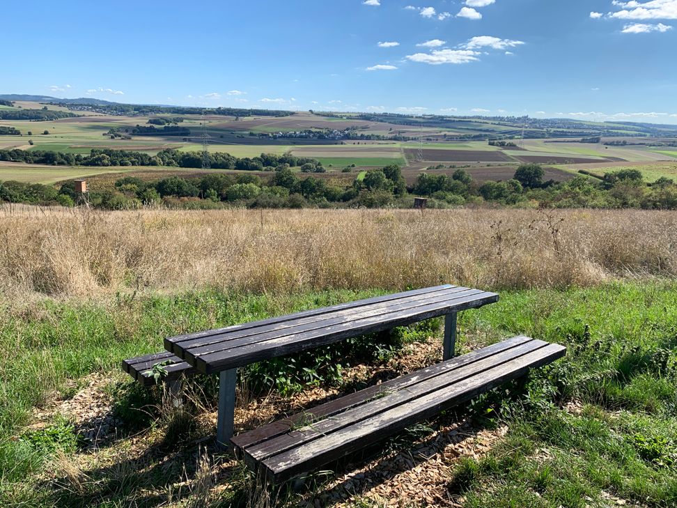 In der Ferne grüßt Münstermaifeld.