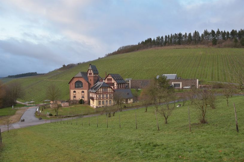 Das Gut Avelsbach in herrlicher Lage unweit der Avelsbacher Straße in Trier-Kürenz
