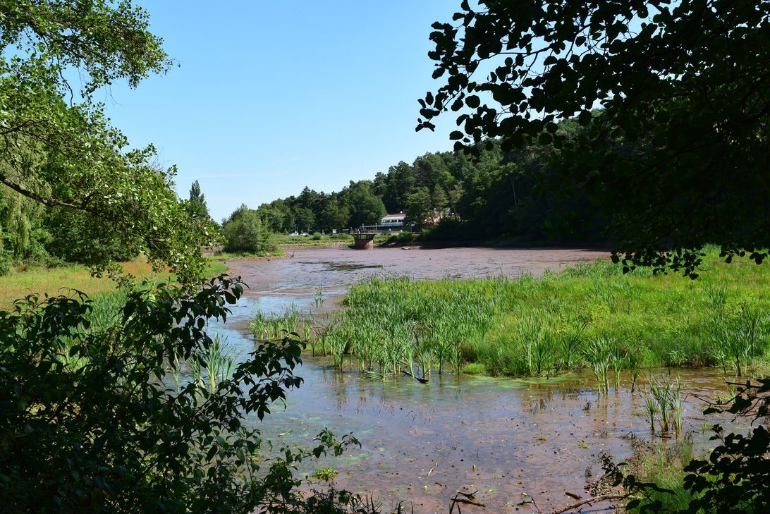 Der Kommerner Mühlensee ist über Nacht unkontrolliert leergelaufen.