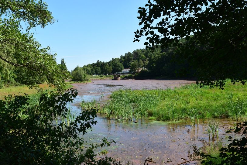 Der Kommerner Mühlensee ist über Nacht unkontrolliert leergelaufen.