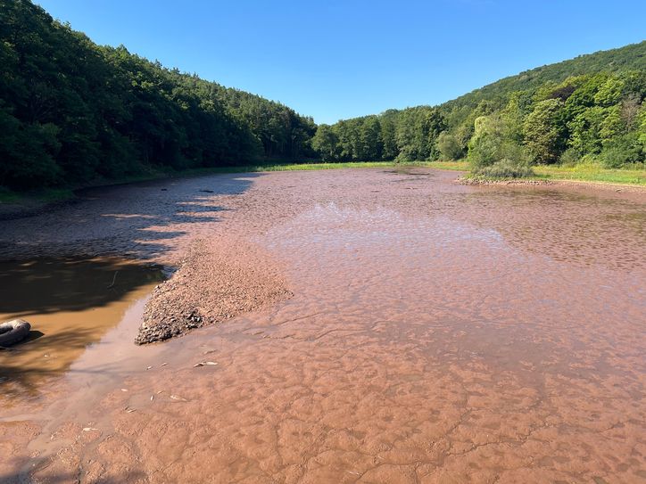 Der Kommerner Mühlensee ist über Nacht unkontrolliert leergelaufen.