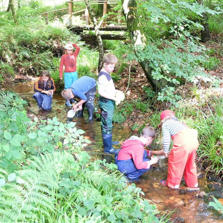 Die „Natur-Erlebnis-Tage“, organisiert von der Jugendpflege der Verbandsgemeinde Kell am See, fanden vom 24. bis 28. Juli 2017 in der Nähe der Ruwerquelle im Keller Wald statt. Foto: FF