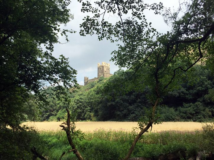 Blick auf Burg Wernerseck. Foto: Natur Aktiv Erleben