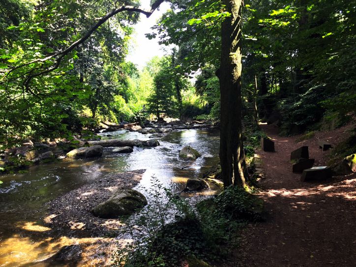 Im Rauscherpark in Plaidt. Foto: Natur Aktiv Erleben