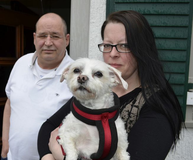 Klaus-Dieter und Jasmin Brauers erlebten mit ihrem Hund Benny den Angriff eines gefährlichen Bullterriers und suchen nun nach den Haltern des Tieres. mn-Foto